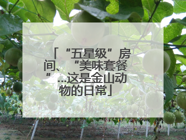 “五星级”房间、“美味套餐”…这是金山动物的日常